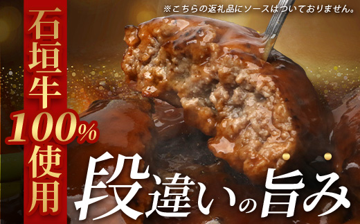 石垣牛100％ ハンバーグ　(100ｇ×10個)【化粧箱入り】｜国産 石垣牛100% 高級 黒毛和牛 ビーフ ハンバーグ詰め合わせ  ID-1