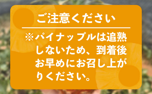 《2025年4月以降順次発送》【先行予約】最高糖度20度！？ 完熟の極 石垣島産パイナップル ピーチパイン3個セット【 沖縄 石垣島 石垣 八重山 パイン ピーチパイン 期間限定 数量限定 沖縄県 石垣島産 】TF-1-1