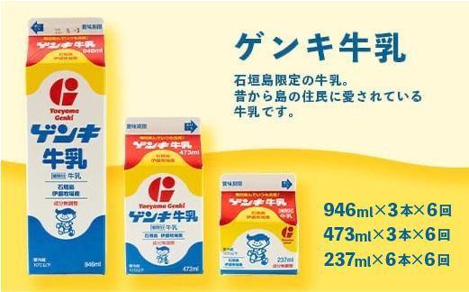 【ふるさと納税限定】【定期便_6回】八重山ゲンキ乳業 全種バリューセット【八重山ゲンキ乳業】【ゲンキ牛乳】【石垣島のソウルドリンク ゲンキクール】【ゲンキカフェ】【さんぴん茶ミルクティー】GN-004-t06