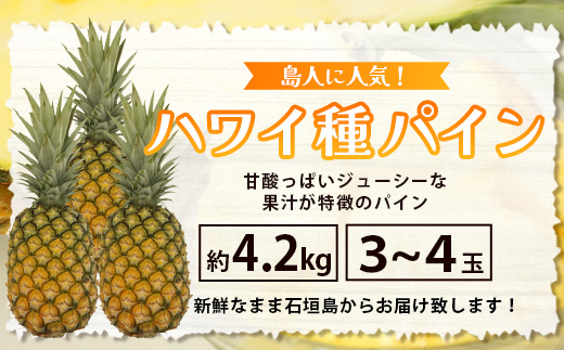 《2025年7月上旬頃より順次発送》【予約受付】石垣島産 ハワイ種パイン 3～4個セット 約4.2㎏【 産地直送 石垣島産 石垣 完熟 パイン パイナップル 】TD-7