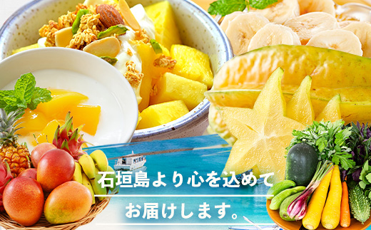 沖縄県 石垣島の野菜・フルーツBOX 1箱 ≪野菜4～5種類、フルーツ1~2種類≫ じょーとーまーさん(とても美味しい) 石垣島の野菜とフルーツの詰め合わせセットをお楽しみください！！CK-4｜沖縄 石垣島 直送 旬 果物 フルーツ 新鮮 島野菜 野菜セット 詰め合わせ CK-4