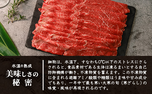 【氷温熟成】石垣島産 黒毛和牛 ウデスライス 500g×2【合計1kg】お肉 肉 牛肉 冷凍 すきやき すき焼き 牛丼 和牛 しゃぶしゃぶ 赤身 八重山食肉センター うで ウデ YC-1