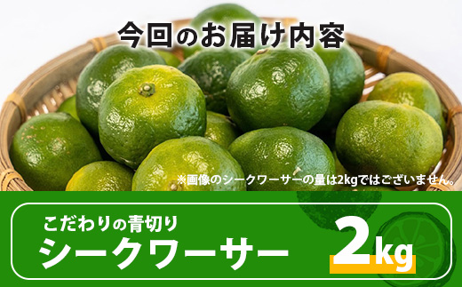 《2025年7月下旬以降発送》【先行予約】こだわりの青切りシークワーサー 2kg 約60〜80個 【 産地直送 沖縄 石垣島 石垣 八重山 シークワーサー 柑橘 フルーツ くだもの 果物 】TF-8-1