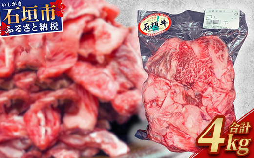 石垣牛・牛すじ 4kg （1kg×4） 冷凍便【 沖縄県 石垣市 牛肉 お肉 牛スジ 牛筋 煮込み おでん カレー 】 SI-87