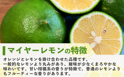 《2024年9月以降順次発送》こだわりの青切りマイヤーレモン 約1kg (6～9個) 【 沖縄 石垣 数量限定 フルーツ レモン マイヤー メイヤー 】TF-26