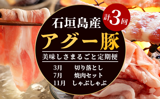 石垣島産アグー豚の定期便（3月、7月、11月お届け）E-30