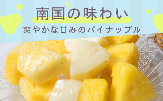 石垣島産パイナップル６回定期便 ｜ 青果３回 冷凍３回 沖縄県 石垣市 果物 果物 南国フルーツ パイン 送料無料 KP-8-1