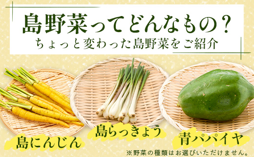 石垣島産 野菜BOX【６回定期便】（６~８種類）季節ごとに野菜パワーをあなたに！！CK-3 【野菜セット おまかせセット 旬 季節のお野菜 旬の野菜セット 詰め合わせ 定期便 ６回 定番野菜 島野菜 沖縄県 石垣市 石垣島 石垣 】