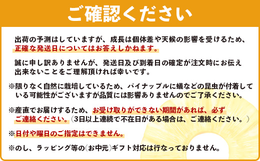 【予約受付】《2025年5月下旬～7月中旬発送》最高糖度18度！？ 完熟の極 石垣島産ジュワリーパイン 【 沖縄県 石垣市 石垣島 完熟 パイン パイナップル ジュワリー 予約受付 】TF-16-1