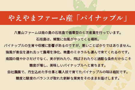 【予約受付】石垣島産　有機パイナップル・ボゴール種 3玉（約2.8kg前後）〈常温〉《６月上旬～順次発送予定》｜パイナップル パインアップル 石垣島パイン フルーツ 果物 くだもの 南国フルーツ 国産パイン　E-41