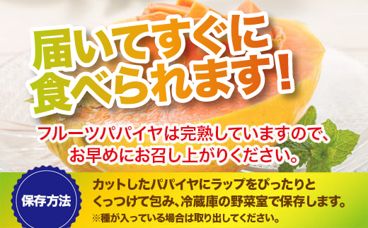 フルーツパパイヤ4kg 【 パパイヤ フルーツパパイヤ 果物 くだもの フルーツ 果実 国産 沖縄県 沖縄 石垣 石垣島 石垣市 】ZH-14