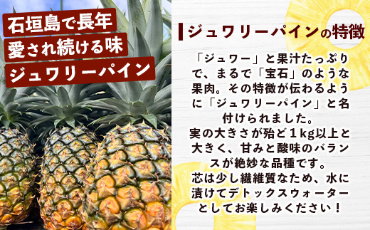 【マツコの知らない世界で絶賛！】《2025年4月以降発送》【先行予約】パイナップル好きにおすすめ！満足のパイナップル4品種定期便【 沖縄 石垣 ピーチ ホワイトココ ジュワリー スナック パイン パイナップル 完熟 セット フルーツ デザート 食べ比べ 定期便 TV テレビ 紹介 マツコ 】 TF-37