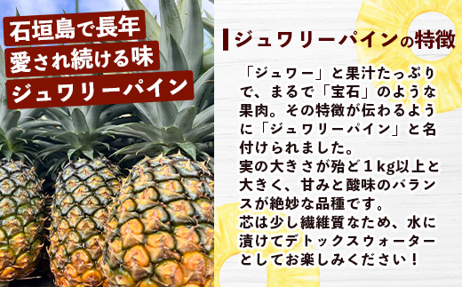 【マツコの知らない世界で絶賛！】《2025年4月以降発送》【先行予約】パイナップル好きにおすすめ！満足のパイナップル3品種定期便【 沖縄 石垣 ピーチ ホワイトココ ジュワリー パイン パイナップル 完熟 セット フルーツ デザート 食べ比べ 定期便 TV テレビ 紹介 マツコ 】 TF-36