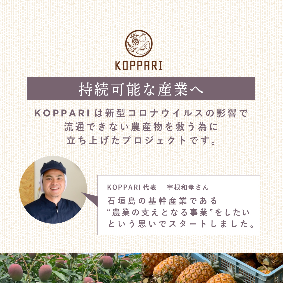 先行予約＜2026年6月より順次発送＞贅沢3種フローズンパイナップル 6パック【 沖縄県 石垣市 果物 パイナップル 冷凍 パイン フローズン 送料無料 】 EF-6