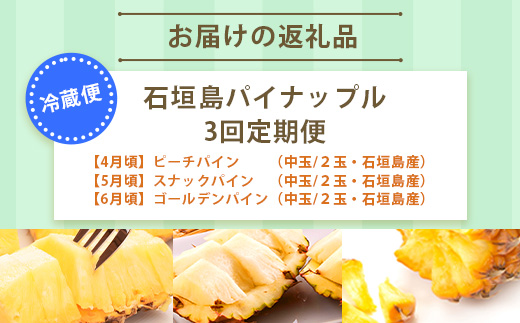 【予約受付】【定期便】石垣島産 パイナップル 3回 定期 3種 計6玉【2025年 4～5月頃・5月・6月頃お届け】  KP-18