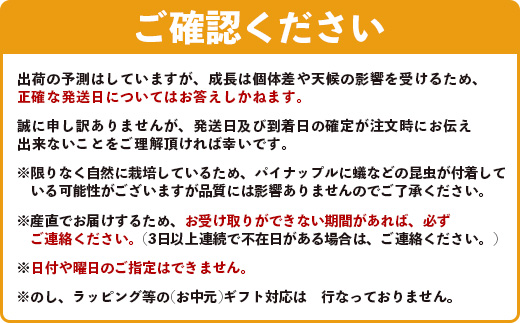 《2025年4月以降順次発送》【先行予約】最高糖度20度！？ 完熟の極 石垣島産パイナップル ピーチパイン3個セット【 沖縄 石垣島 石垣 八重山 パイン ピーチパイン 期間限定 数量限定 沖縄県 石垣島産 】TF-1-1