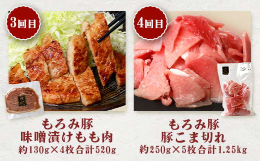 定期便 12回配送 もろみ豚 バラエティ定期便 【 沖縄 石垣 12ヵ月 精肉 細切れ こま切れ 小間切れ 切り落とし ミンチ ハンバーグ メンチカツ 餃子 豚肉 肉 惣菜 総菜 定期 頒布会 みそ漬け 味噌漬け おかず 】AH-23-1