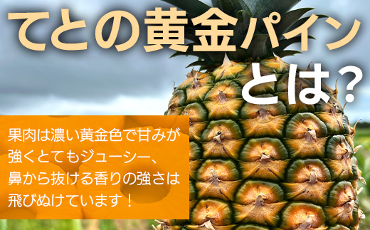 《2025年4月以降順次発送》完熟てとの黄金パインの果汁100％！！濃厚ジュース300ml×3パックをお届け！【 沖縄県 石垣 完熟 パイン パイナップル 黄金 果汁 100％ 】TF-45