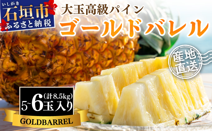 【先行予約】《2025年夏季 順次発送》石垣島産・ゴールドバレルパイン　大玉5～6個入り　SI-8-2