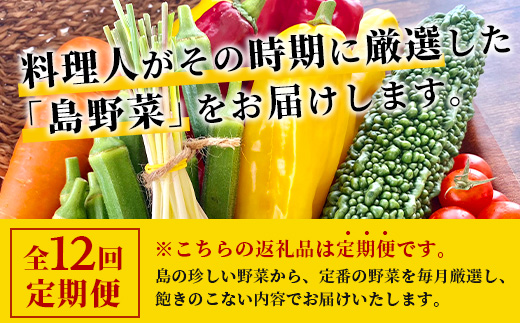 【定期便 12ヶ月】料理人が厳選した島野菜盛り合わせ  (6～10品目×12回)  【野菜詰合せセット  やさい セット 詰め合わせ 冷蔵対応】 TM-8