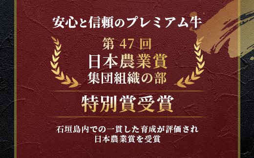 特選石垣牛100%ハンバーグ100g×3個＋特選石垣牛元卸お任せ焼肉180gセット　I-17-1