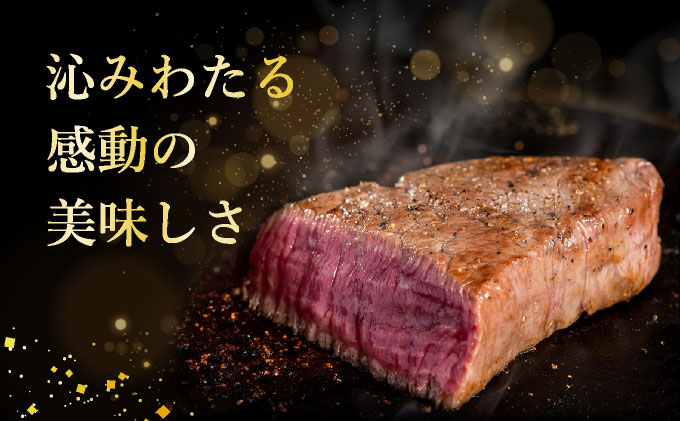 【2025年11月以降順次発送】希少な特選石垣牛をご家庭で！！肉の旨味あふれる上赤身（ウチモモ、シンタマ、ランプ）ステーキ肉　合計400g | 沖縄 石垣 特選 牛 上 赤身 ウチモモ シンタマ ランプ 肉 ステーキ 真空 冷凍 | IM-49