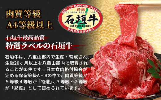 石垣牛 切り落とし スライス (300g×4パック) 1.2kg AB-25-1