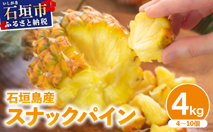 【2026年4月中旬発送】訳あり 石垣島産 スナックパイン 約4kg（4〜10個）KP-01 | ふるさと納税 パイナップル 産地直送 フルーツ 果物 パイン 石垣 沖縄 沖縄県石垣市 石垣島