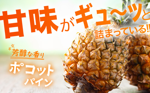 【予約受付】ピーチ＆ポコットパイン食べ比べ 1ｋｇ（計２玉）お勧め♪川平パイン《2025年5月～7月頃順次発送》KN-5