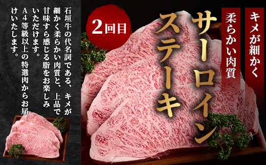 【全3回 定期便A】 石垣牛特選　焼肉・サーロインステーキ・すきしゃぶ　計2.2kg （いしなぎ屋）【 特選肉 肉 高級 黒毛和牛 和牛 牛 】AB-29