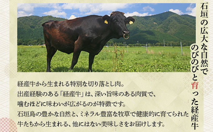 ＜わんの牛＞石垣島産経産黒毛和牛 切り落とし 250g×4袋 合計1kg NA-02
