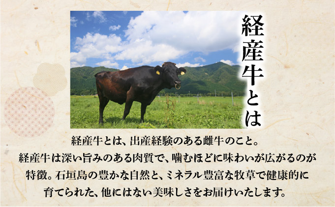 ＜わんの牛＞石垣島産経産黒毛和牛手ごね生ハンバーグセット 150g×5個 NA-04