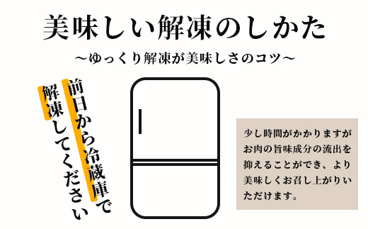 石垣牛 100% 極めハンバーグ 150g×5個 ≪肉職人が作ったこだわりハンバーグ≫ 【石垣牛 沖縄県 石垣市 石垣島 牛肉 牛 肉 黒毛和牛】 TM-5