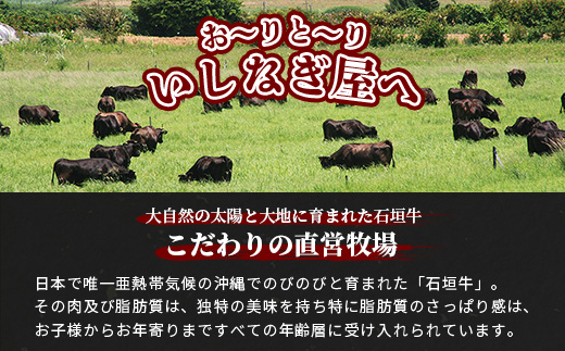 【全3回 定期便A】 石垣牛特選　焼肉・サーロインステーキ・すきしゃぶ　計2.2kg （いしなぎ屋）【 特選肉 肉 高級 黒毛和牛 和牛 牛 】AB-29