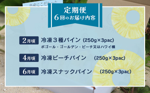 石垣島冷凍パイナップル6回定期便  EF-12
