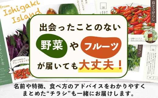 【4回定期便】沖縄県 石垣島の野菜・フルーツBOX ≪野菜4～5種類、フルーツ1~2種類≫（1箱×4回）じょーとーまーさん(とても美味しい) 石垣島の野菜とフルーツの詰め合わせセットをお楽しみください！！｜沖縄 石垣島 直送 旬 果物 フルーツ 新鮮 島野菜 野菜セット 詰め合わせ 定期便 CK-5