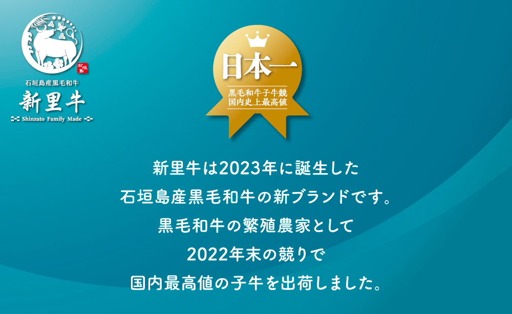 石垣島産 黒毛和牛 新里牛 サーロインステーキ（250g×1）合計250g SZ-28