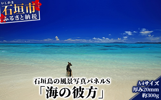 NN-9 石垣島の風景 写真パネルS（海の彼方）