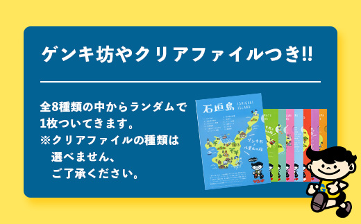 【ふるさと納税限定】ゲンキ牛乳バリューセット【八重山ゲンキ乳業】【日本最南端の乳業】【伊盛牧場産 生乳100％使用】GN-3