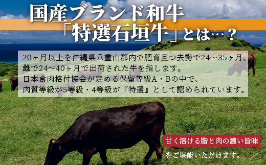 希少な特選石垣牛のホルモンをご家庭で！！秘伝の味噌味マルチョウ300g×4パック【 沖縄 石垣 和牛 石垣牛 希少 特選 肉 味噌 みそ 味付 ホルモン マルチョウ 冷凍 小分け 】IM-17