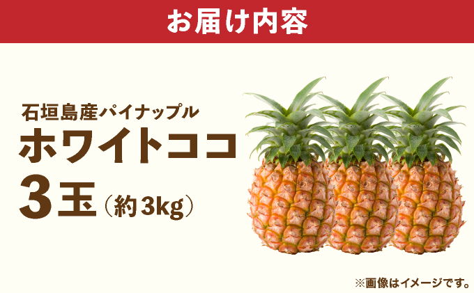 ≪6月上旬順次発送≫ 石垣島産パイナップル　ホワイトココ　3玉（約3kg）