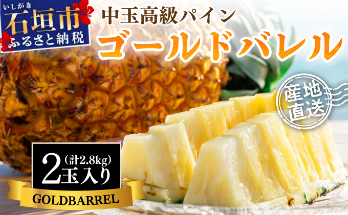 【先行予約】石垣島産 中玉ゴールドバレル２玉 合計約2.8kg《2025年夏季 順次発送》【 沖縄 石垣 パイン パイナップル フルーツ くだもの 果物 産地直送 】SI-113