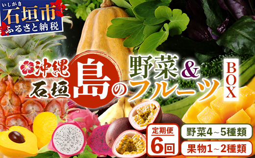 【6回定期便】沖縄県 石垣島の野菜・フルーツBOX ≪野菜4～5種類、フルーツ1~2種類≫（1箱×6回）じょーとーまーさん(とても美味しい) 石垣島の野菜とフルーツの詰め合わせセットをお楽しみください！！｜沖縄 石垣島 直送 旬 果物 フルーツ 新鮮 島野菜 野菜セット 詰め合わせ 定期便 CK-6