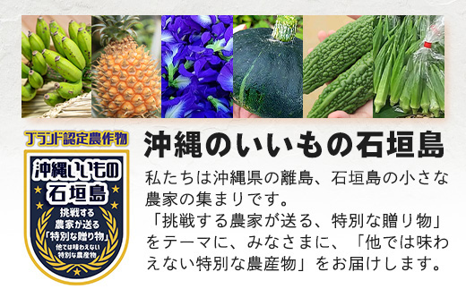 ææŠïŒïŒãïŒåïŒèŸ²è¬ã䜿ãããæ£®ã®ãããªçã§æ œå¹ããç¹å¥ãªæç© ïŒ10æã3æé 次çºéïŒã æ²çž ç³å£å³¶ ç³å£å³¶ç£ ãã«ãŒã æç© 蟲è¬äžäœ¿çš é¢å³¶ã®ãããã® æ²çžãããã®ç³å£å³¶ ãOI-19-2