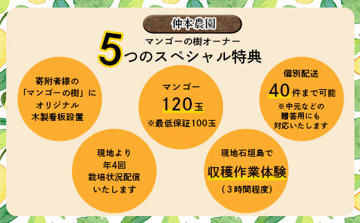 【限定1名様】「マンゴーの樹」収穫オーナー 権利(1年間)【マンゴー 120玉(目標値)「100玉最低保証」】KB-25