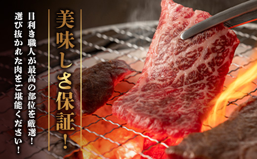 特選石垣牛100%ハンバーグ100g×3個＋特選石垣牛元卸お任せ焼肉180gセット　I-17-1