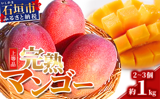 【先行予約】石垣島産 完熟マンゴー 約1kg エコ箱入り（2～3個入り）2025年6月末〜7月下旬発送 SI-31-1