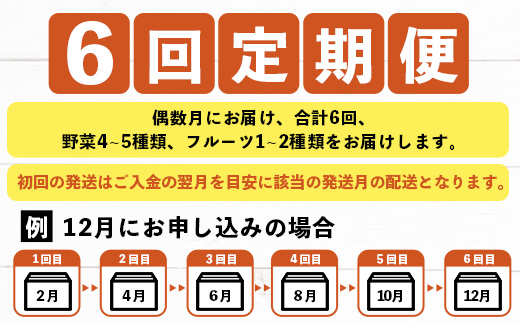 【6回定期便】沖縄県 石垣島の野菜・フルーツBOX ≪野菜4～5種類、フルーツ1~2種類≫（1箱×6回）じょーとーまーさん(とても美味しい) 石垣島の野菜とフルーツの詰め合わせセットをお楽しみください！！｜沖縄 石垣島 直送 旬 果物 フルーツ 新鮮 島野菜 野菜セット 詰め合わせ 定期便 CK-6