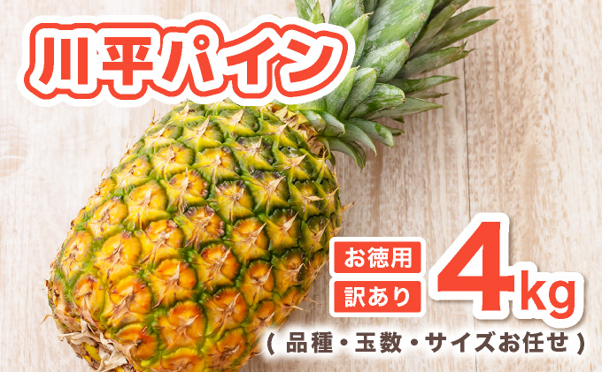 【2026年7月以降順次発送】川平パイン お徳用訳あり4kg ( 品種・玉数・サイズお任せ ) KN-6