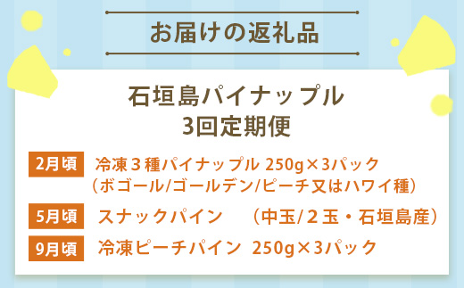 石垣島産パイナップル3回定期便  EF-10